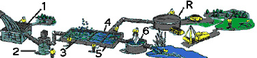 Plant process